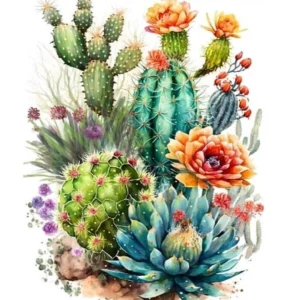 Cactus Flowers 2