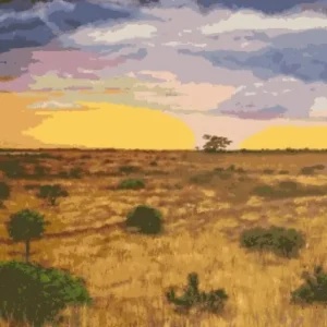 Paint by Numbers - The Golden Gaze