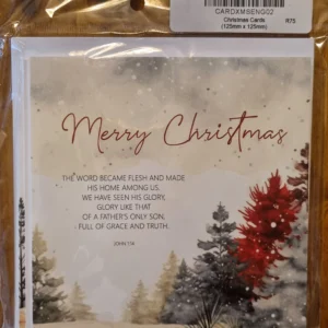 Merry Christmas Cards option 1