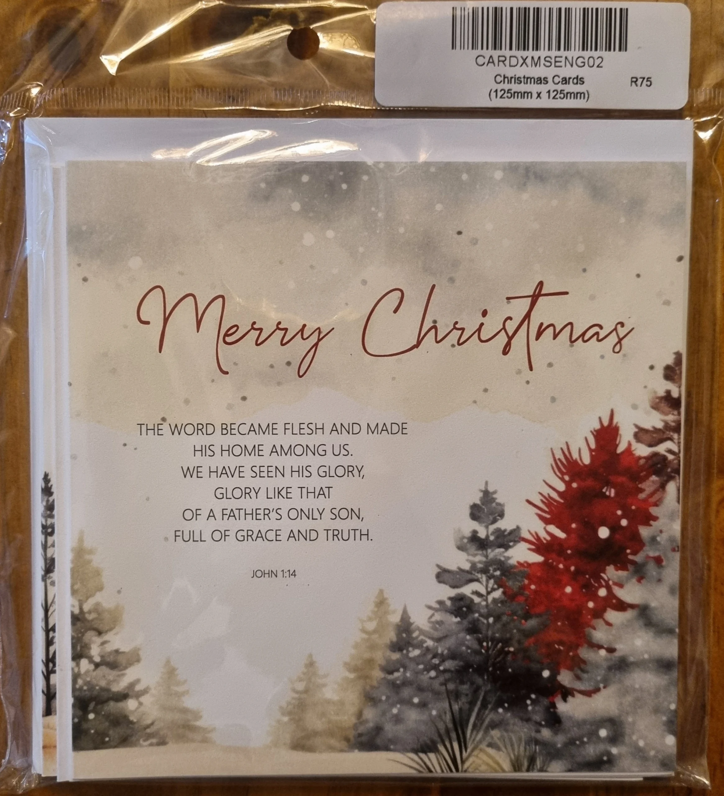 Merry Christmas Cards option 1