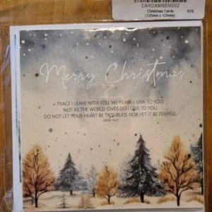 Merry Christmas Cards option 2