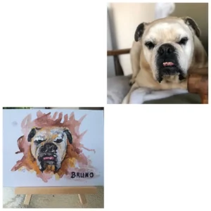 Custom Hand-Painted Pet Portrait