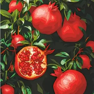 Paint by Numbers: Pomegranate in tree